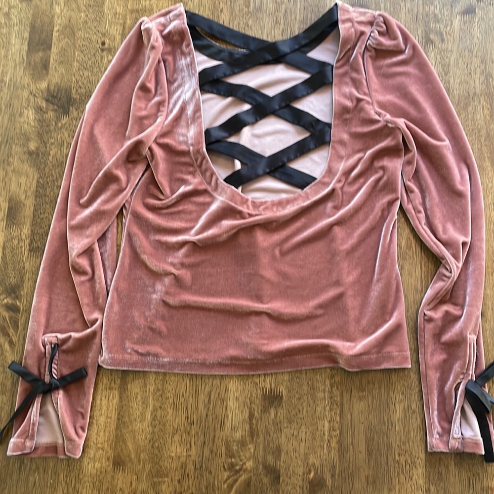 COPY - Anthropologie Pink Ballet Style Velvet Long Sleeve Shirt M